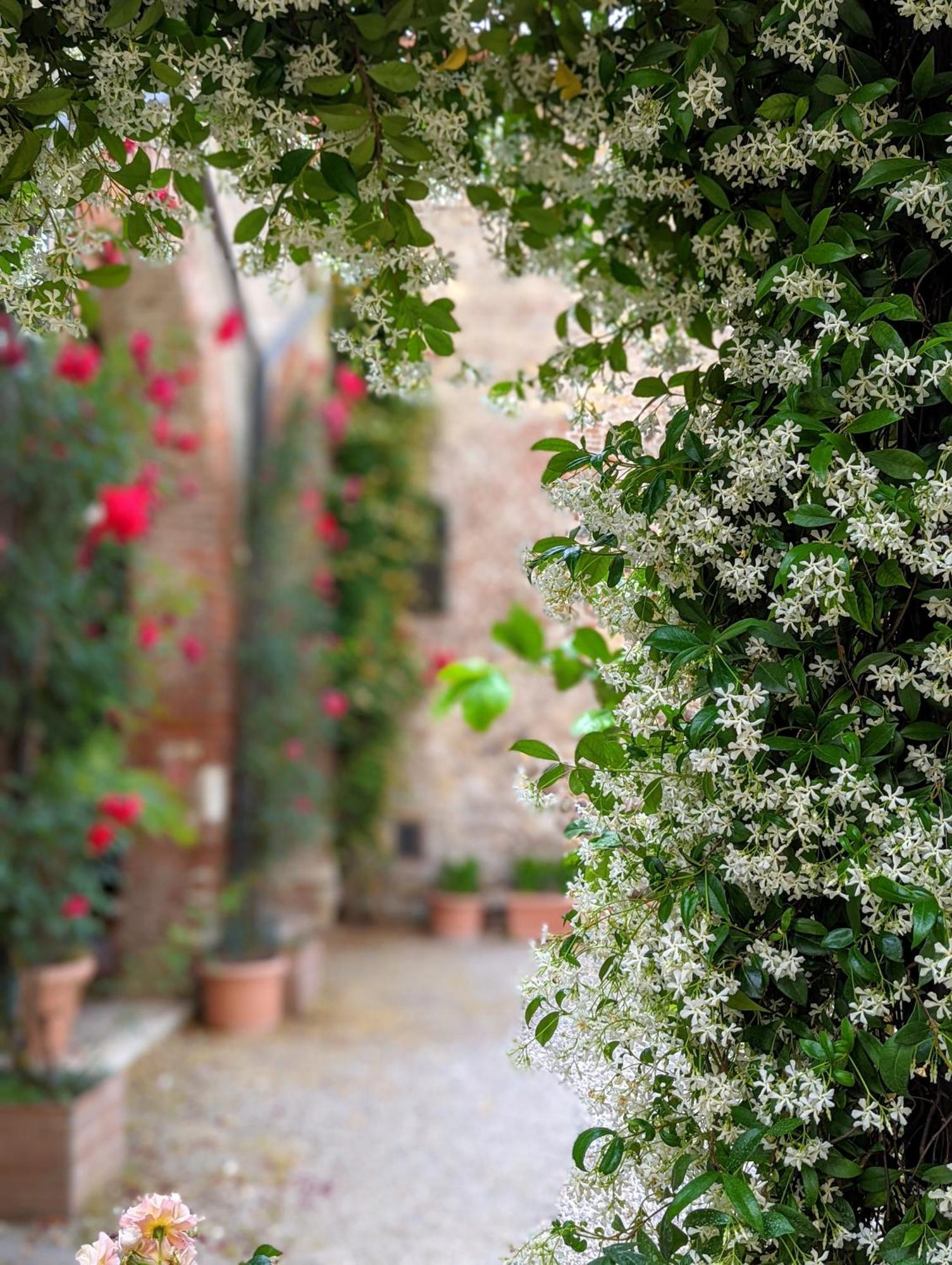Enchanting Verona Exteriör bild